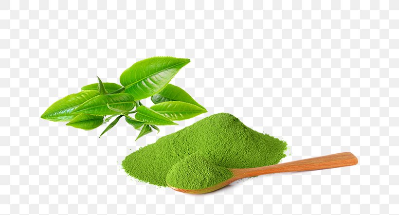Matcha Green Tea Tea Plant Ice Cream, PNG, 667x442px, Matcha, Cooking, Drink, Flavor, Flour Download Free