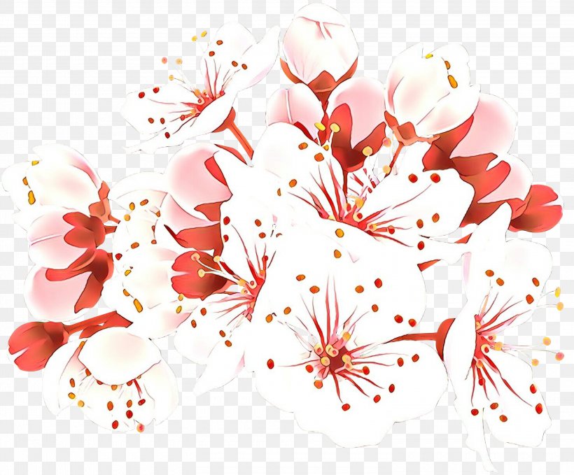 Cherry Blossom Clip Art Image, PNG, 3000x2487px, Cherry Blossom, Art, Blossom, Botany, Cerasus Download Free