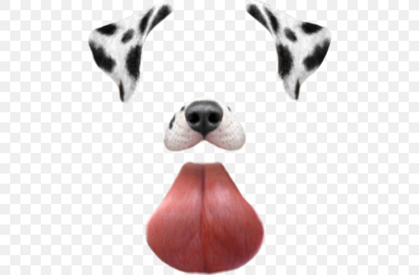 Dalmatian Dog Photographic Filter Dachshund, PNG, 480x539px, Dalmatian Dog, Camera, Carnivoran, Dachshund, Dalmatian Download Free