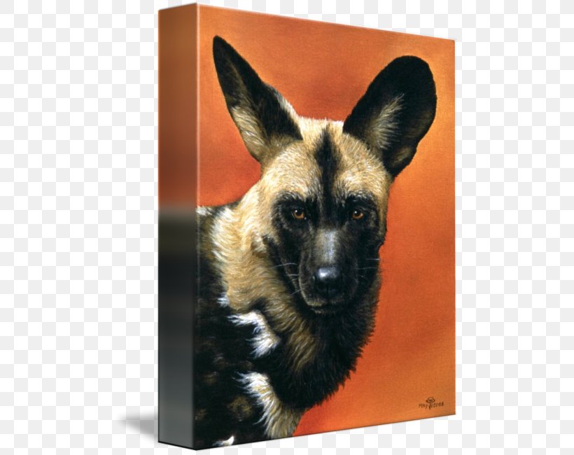 Dog Breed African Wild Dog German Shepherd Dhole Animal, PNG, 494x650px, Dog Breed, African Wild Dog, Animal, Breed, Carnivora Download Free
