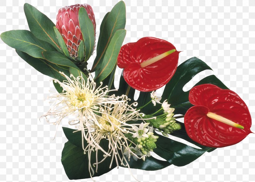 Flower Bouquet Cut Flowers Chrysanthemum Clip Art, PNG, 1200x855px, Flower, Chrysanthemum, Cut Flowers, Floral Design, Floristry Download Free