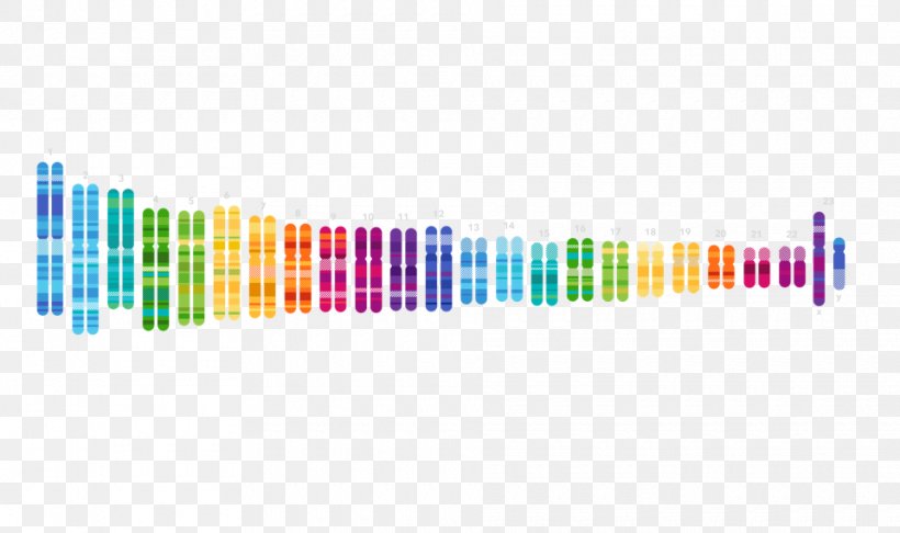 Human Genome Project 23andMe Genetic Testing Genetics Genetic Genealogy, PNG, 960x569px, Human Genome Project, Anne Wojcicki, Body Jewelry, Brca Mutation, Company Download Free