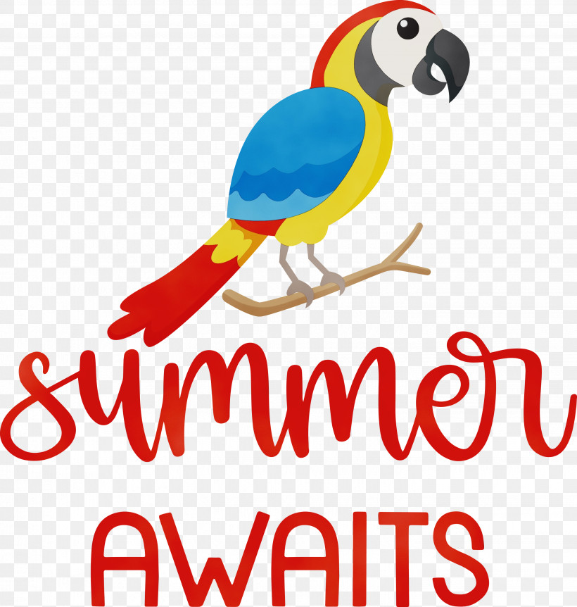 Macaw Beak Parakeet Line Meter, PNG, 2851x2999px, Summer, Animal Figurine, Beak, Biology, Geometry Download Free