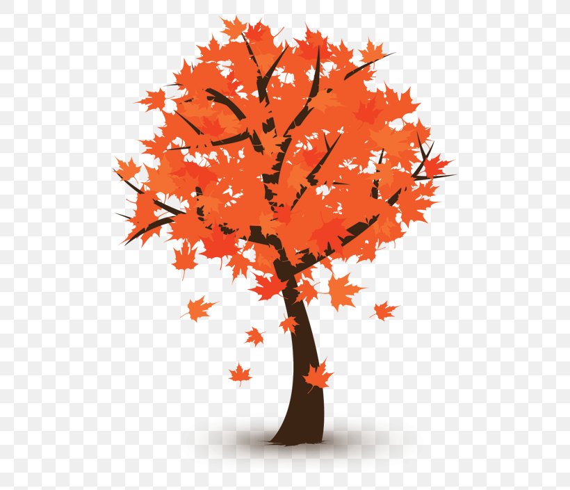 Vector Graphics Autumn Royalty-free Stock Photography Image, PNG, 512x705px, Autumn, Branch, Drawing, Flowering Plant, Leaf Download Free