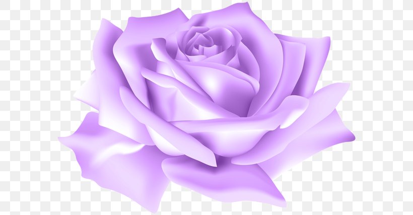 Blue Rose Flower Clip Art, PNG, 600x427px, Blue Rose, Blue, Blue Flower, Cut Flowers, Flower Download Free