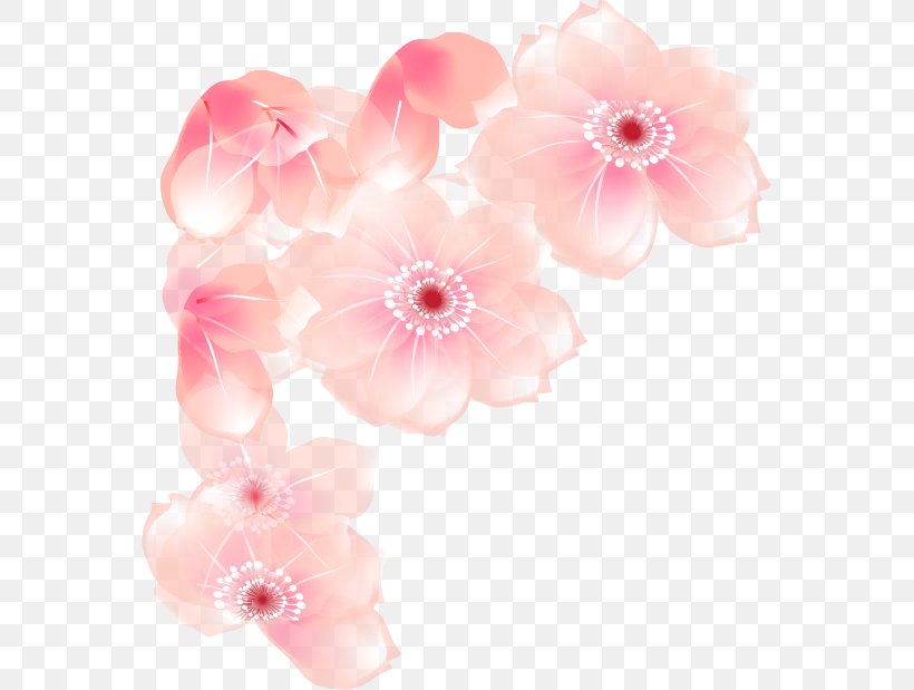 Floral Design Cut Flowers Blossom Petal, PNG, 565x619px, Floral Design, Blossom, Cherry, Cherry Blossom, Cut Flowers Download Free