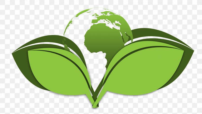 Natural Environment Environmentally Friendly Environmental Issue Environmental Policy, PNG, 1600x909px, Natural Environment, Audit, Company, Ecology, Environment Download Free