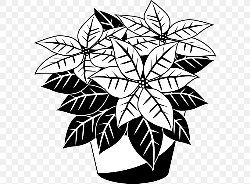 Poinsettia Drawing Black And White Clip Art, PNG, 600x603px, Poinsettia, Art, Black And White, Blog, Christmas Download Free