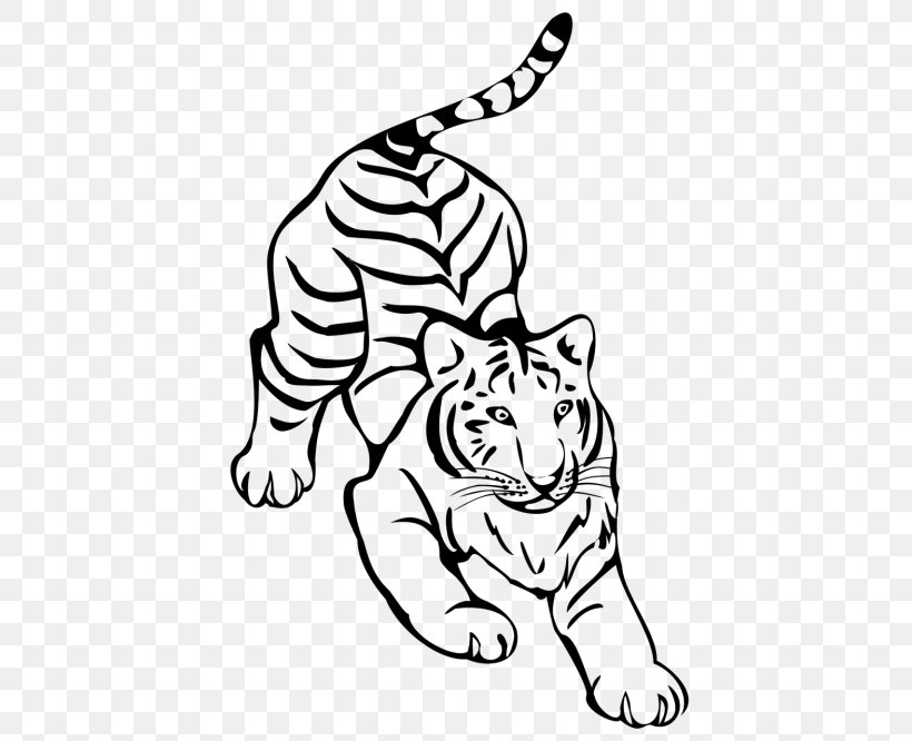 Tiger Felidae Line Art Drawing Clip Art, PNG, 500x666px, Watercolor, Cartoon, Flower, Frame, Heart Download Free