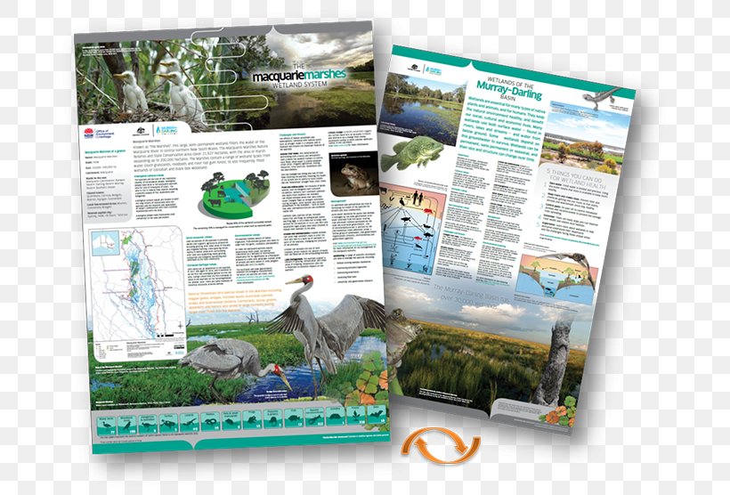 Advertising Fauna Ecosystem Brochure, PNG, 700x556px, Advertising, Brochure, Ecosystem, Fauna Download Free