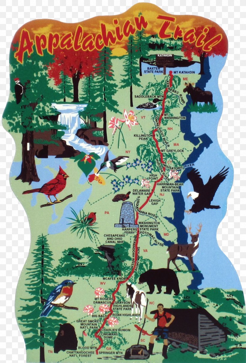 Appalachian National Scenic Trail Springer Mountain Harpers Ferry Appalachian Trail Map, PNG, 1090x1608px, Appalachian National Scenic Trail, Appalachian Mountains, Appalachian Trail, Appalachian Trail Conservancy, Bidezidor Kirol Download Free