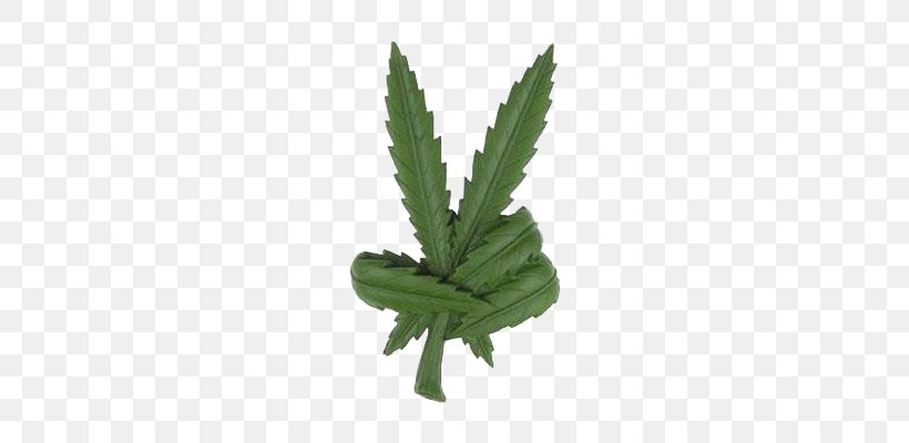 Cannabis Peace Symbols Leaf Smoking Clip Art, PNG, 400x400px, Cannabis, Bong, Cannabis Smoking, Decal, Flowerpot Download Free