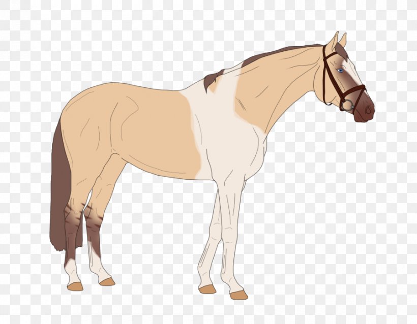 Foal Stallion Mustang Mare Rein, PNG, 900x701px, Foal, Bridle, Cartoon, Colt, Halter Download Free
