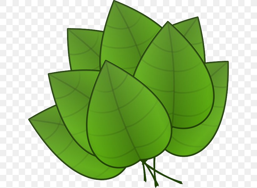 Leaf Clip Art, PNG, 640x602px, Leaf, Art, Autumn Leaf Color, Blog, Drawing Download Free