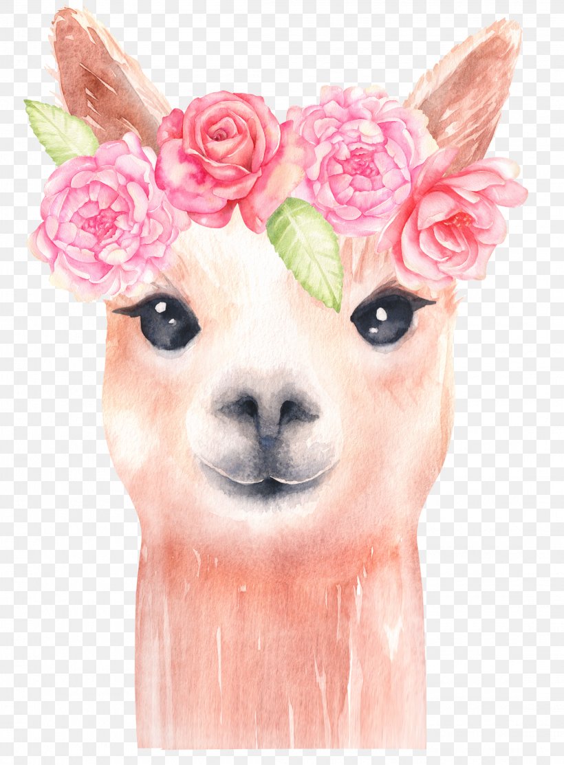 Llama Alpaca Watercolor Painting Clip Art Image, PNG, 2210x3000px, Llama, Alpaca, Art, Art Museum, Camel Like Mammal Download Free