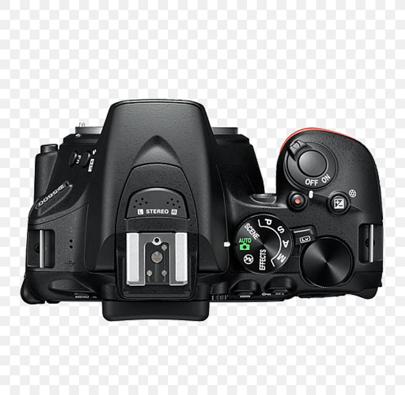 Nikon D5600 24.2 MP SLR, PNG, 800x800px, Digital Slr, Camera, Camera Accessory, Camera Lens, Cameras Optics Download Free