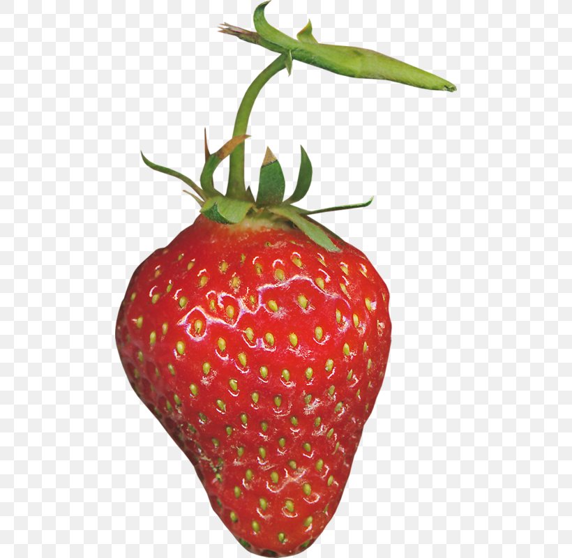 Strawberry Red Aedmaasikas, PNG, 490x800px, Strawberry, Accessory Fruit, Aedmaasikas, Amorodo, Animation Download Free