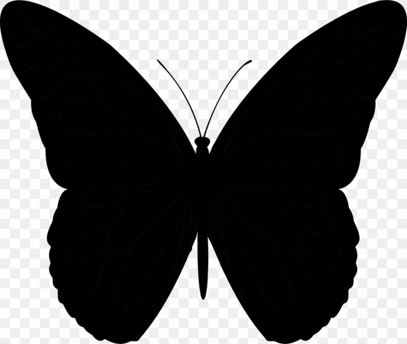 Butterfly Vector Graphics Clip Art Cdr, PNG, 888x750px, Butterfly, Black, Blackandwhite, Brushfooted Butterfly, Cdr Download Free