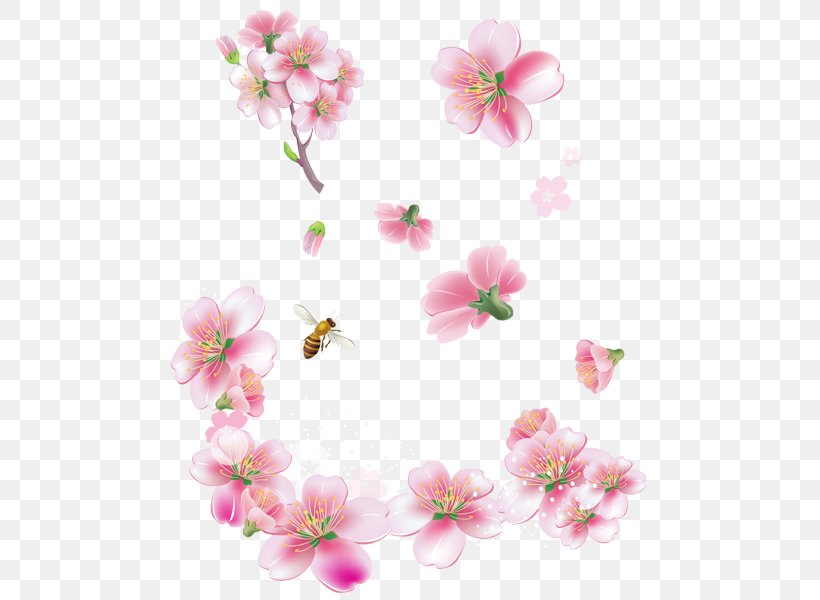 Cherry Blossom, PNG, 498x600px, Pink, Blossom, Cherry Blossom, Floral Design, Flower Download Free