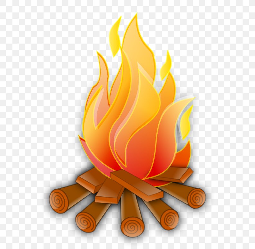 Fire Flame Clip Art, PNG, 800x800px, Fire, Animation, Campfire, Cartoon, Combustion Download Free
