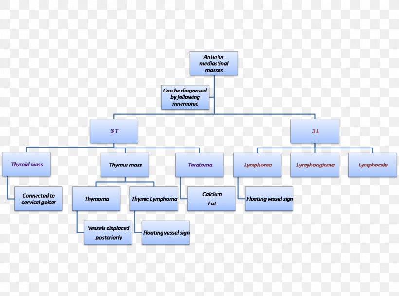 Brand Organization Line, PNG, 1519x1127px, Brand, Area, Diagram, Organization, Rectangle Download Free