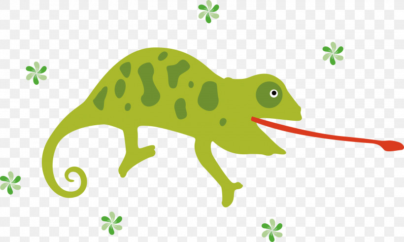 Chameleon, PNG, 3000x1798px, Chameleon, Biology, Cartoon, Dinosaur, Frogs Download Free