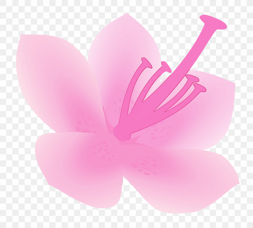 Pink Petal Flower Plant Herbaceous Plant, PNG, 3000x2704px, Azalea, Azalea Flower, Flower, Herbaceous Plant, Paint Download Free