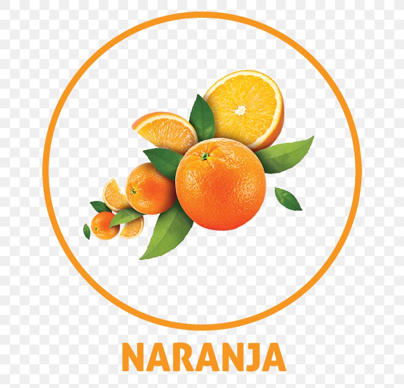 Tangerine Orange Drink Orange Juice, PNG, 700x788px, Tangerine, Bitter Orange, Citric Acid, Citrus, Clementine Download Free