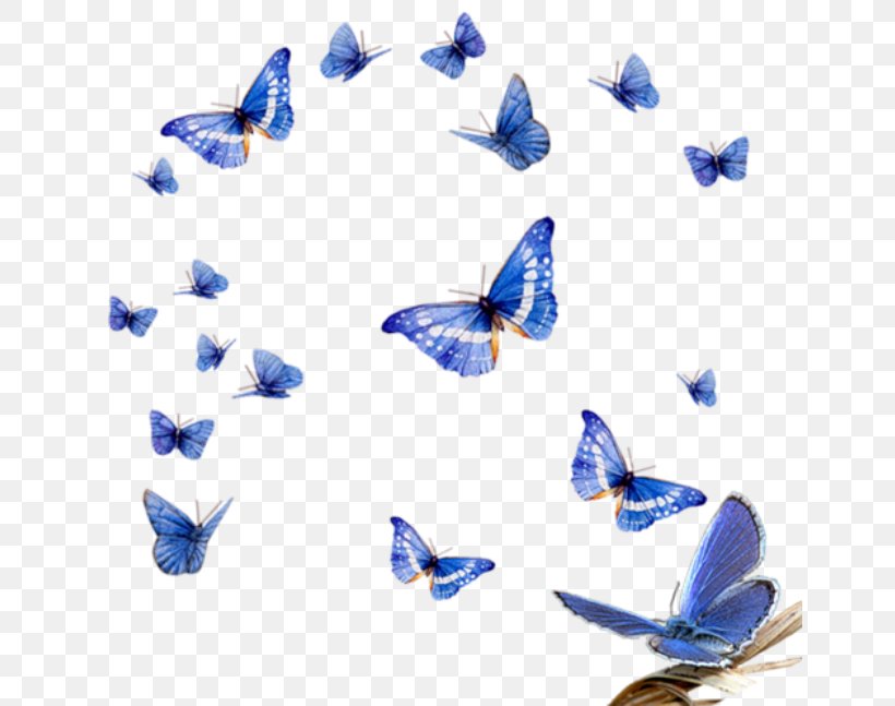 Butterfly Clip Art, PNG, 650x647px, Butterfly, Blue, Cobalt Blue, Drawing, Farfalle Download Free