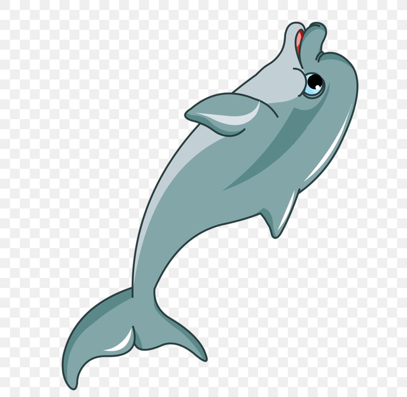 Dolphin Cartoon Clip Art, PNG, 641x800px, Dolphin, Art, Cartoon, Common Bottlenose Dolphin, Depositphotos Download Free