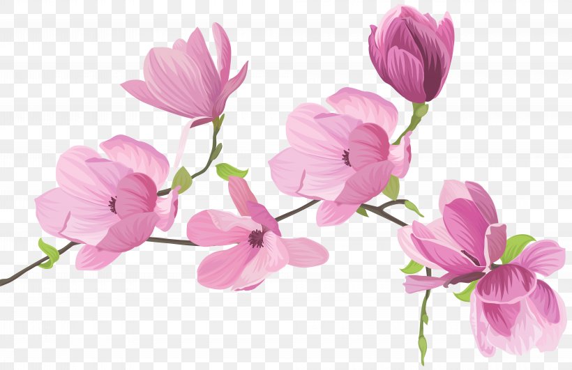 Floral Design Cut Flowers Sweet Pea Clip Art, PNG, 8000x5184px, Floral Design, Blossom, Branch, Cut Flowers, Cyclamen Download Free