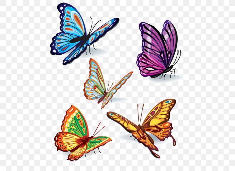 Butterfly Color Insect Clip Art, PNG, 500x598px, Butterfly, Brush Footed Butterfly, Color, Drawing, Insect Download Free
