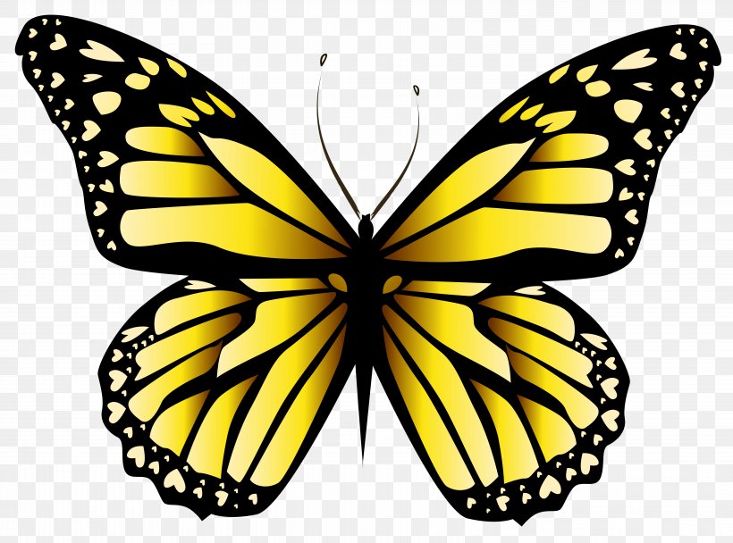 Butterfly Orange Clip Art, PNG, 6413x4762px, Butterfly, Arthropod, Autocad Dxf, Brush Footed Butterfly, Butterflies And Moths Download Free
