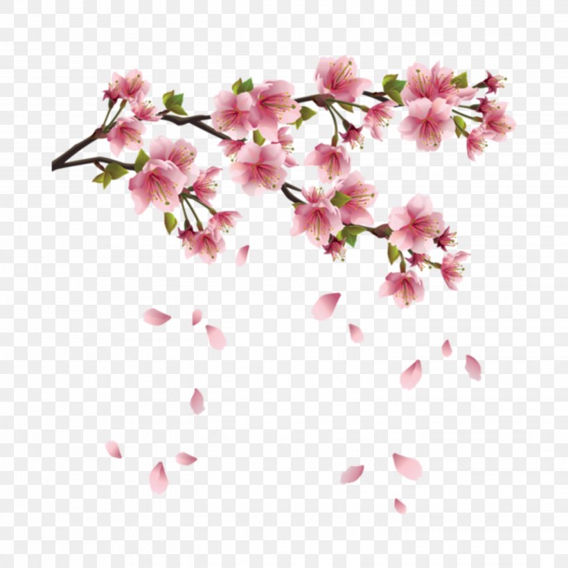 Cherry Blossom Flower Clip Art, PNG, 2896x2896px, Blossom, Azalea, Branch, Cherry, Cherry Blossom Download Free