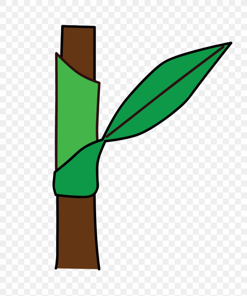 Leaf Ochrea Plant Stem Petiole Redshank, PNG, 1200x1440px, Leaf, Botany, Flowering Plant, Glossary, Green Download Free