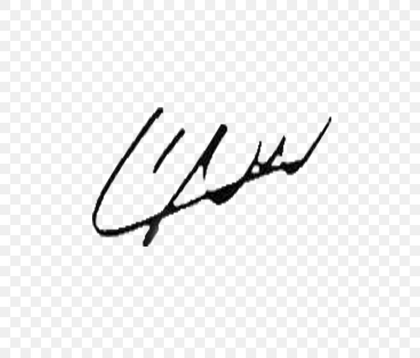 One Direction Signature Autograph Song, PNG, 700x700px, Watercolor, Cartoon, Flower, Frame, Heart Download Free