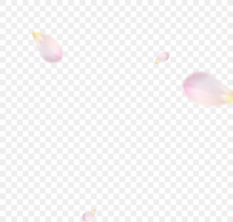 Pink M Desktop Wallpaper Close-up Computer Beauty.m, PNG, 1680x1600px, Pink M, Beauty, Beautym, Close Up, Closeup Download Free