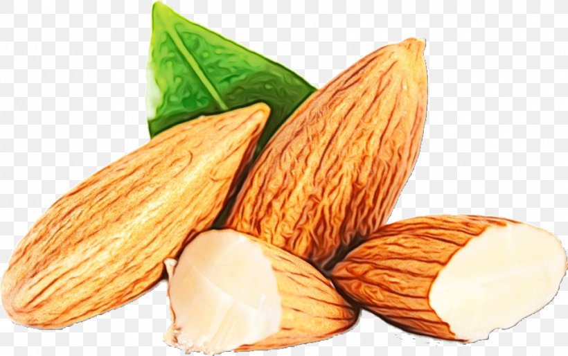 Almond Food Apricot Kernel Nut Plant, PNG, 957x600px, Watercolor, Almond, Apricot Kernel, Cuisine, Food Download Free