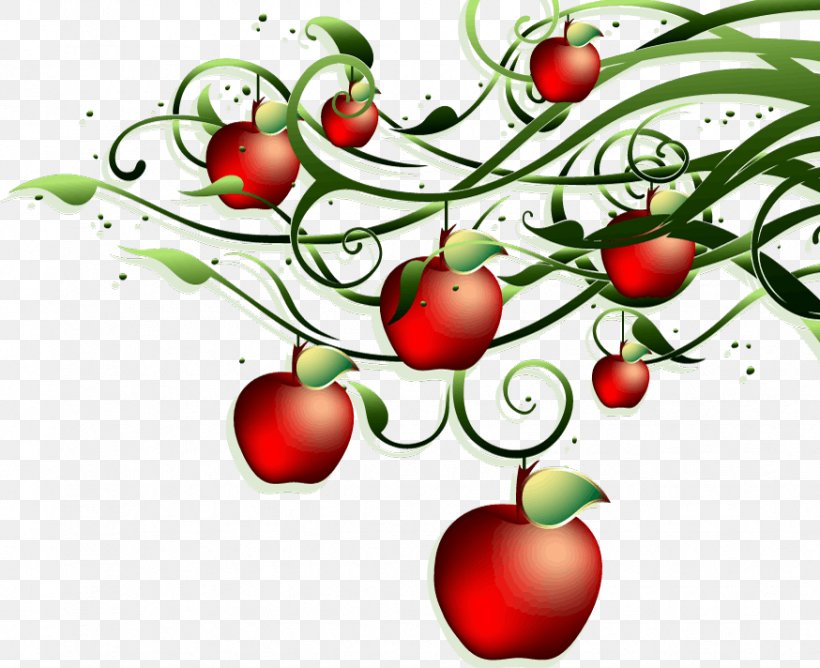 Apple Tomato Royalty-free, PNG, 874x712px, Apple, Acerola, Acerola Family, Branch, Bush Tomato Download Free