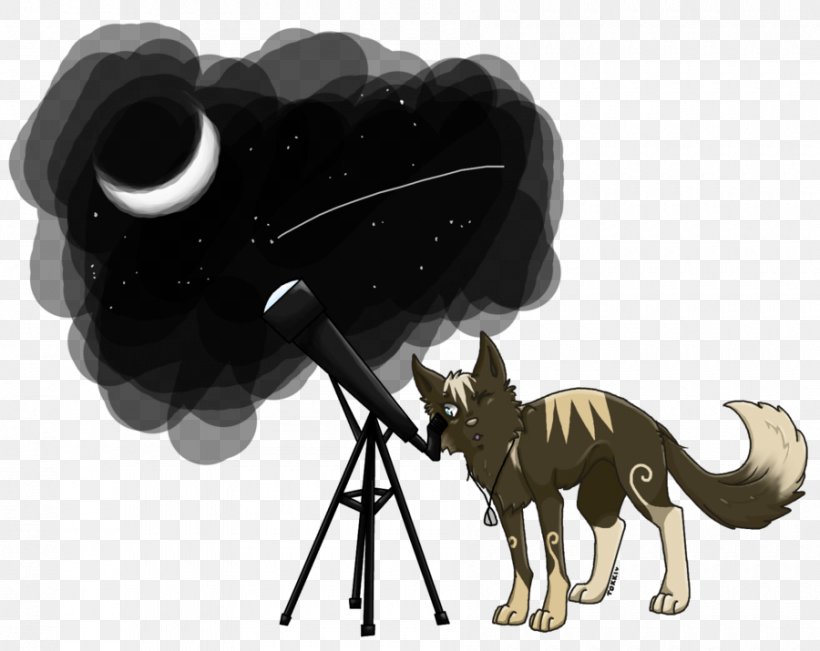 Cat Dog Horse YouTube Mammal, PNG, 900x715px, Cat, Art, Astronomy, Canidae, Carnivoran Download Free
