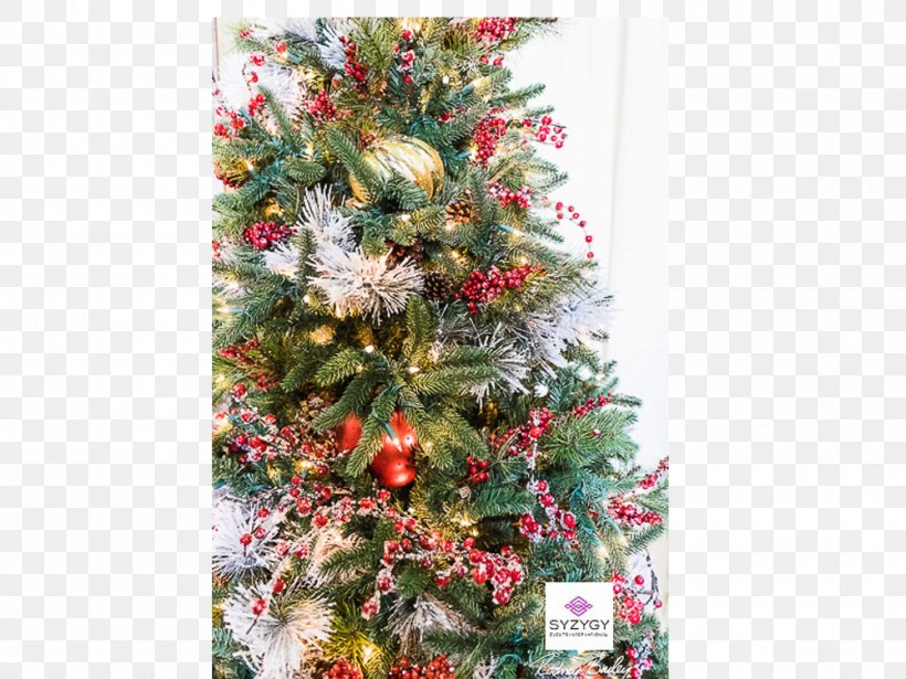 Christmas Tree Christmas Ornament Spruce Fir Pine, PNG, 1000x750px, Christmas Tree, Christmas, Christmas Decoration, Christmas Ornament, Conifer Download Free