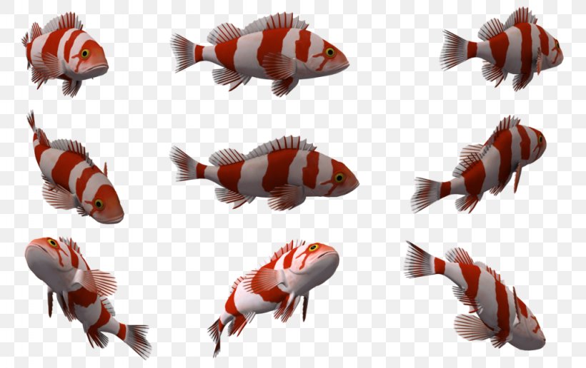Fish Deep Sea Creature Clip Art, PNG, 1024x645px, 3d Computer Graphics, Fish, Animal, Animal Source Foods, Deep Sea Creature Download Free