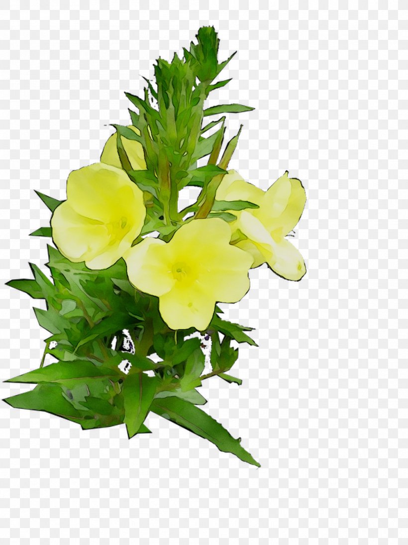 Floral Design Cut Flowers Common Evening-primrose, PNG, 999x1334px, Floral Design, Artificial Flower, Bouquet, Common Eveningprimrose, Cut Flowers Download Free