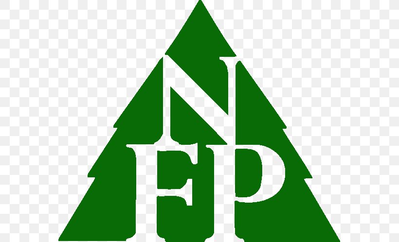 Logo Clip Art Brand Leaf Cedar Forest, PNG, 579x498px, Logo, Area, Brand, Ceiling, Douglas Fir Download Free