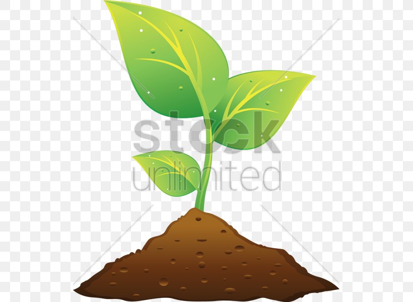 Plant And Soil Plant And Soil Clip Art, PNG, 529x600px, Soil, Leaf, Plant, Plant And Soil, Plant Stem Download Free