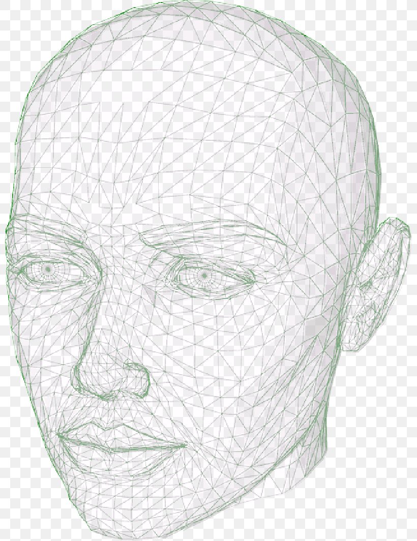 Wire Drawing Face Human Head Image, PNG, 800x1064px, 3d Computer Graphics, Wire, Cheek, Chin, Circuit Diagram Download Free