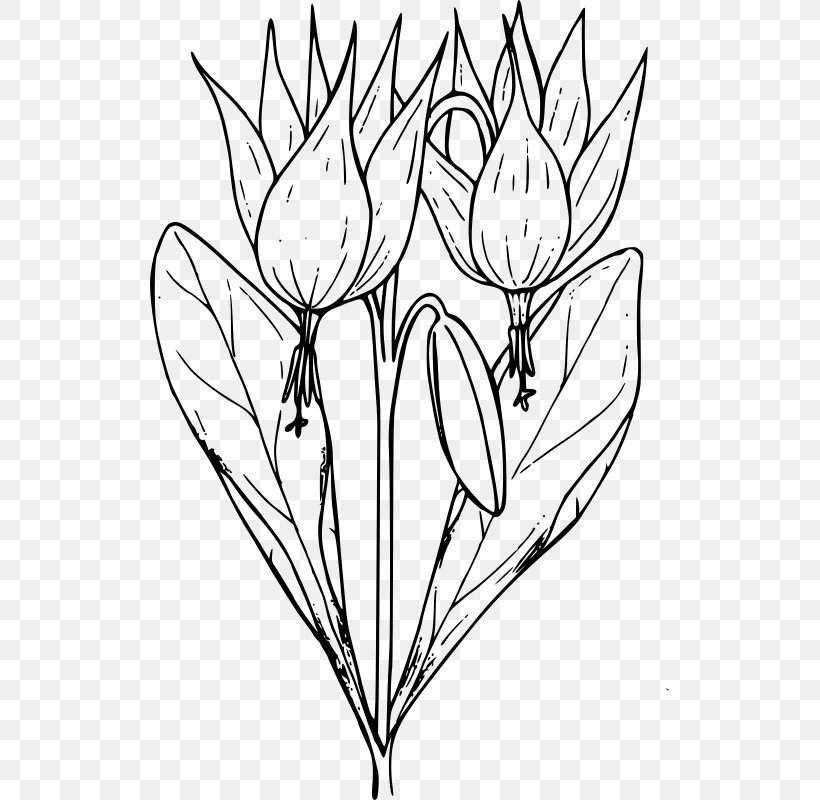 Coloring Book Floral Design Flower Clip Art, PNG, 519x800px, Coloring Book, Artwork, Black And White, Branch, Child Download Free
