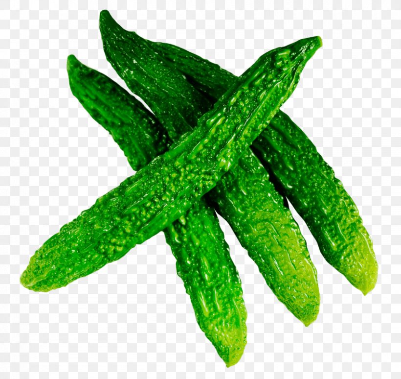Cucumber Bitter Melon Momordica Dioica Vegetable, PNG, 850x803px, Cucumber, Bitter Melon, Bitterness, Calabash, Cucumber Gourd And Melon Family Download Free