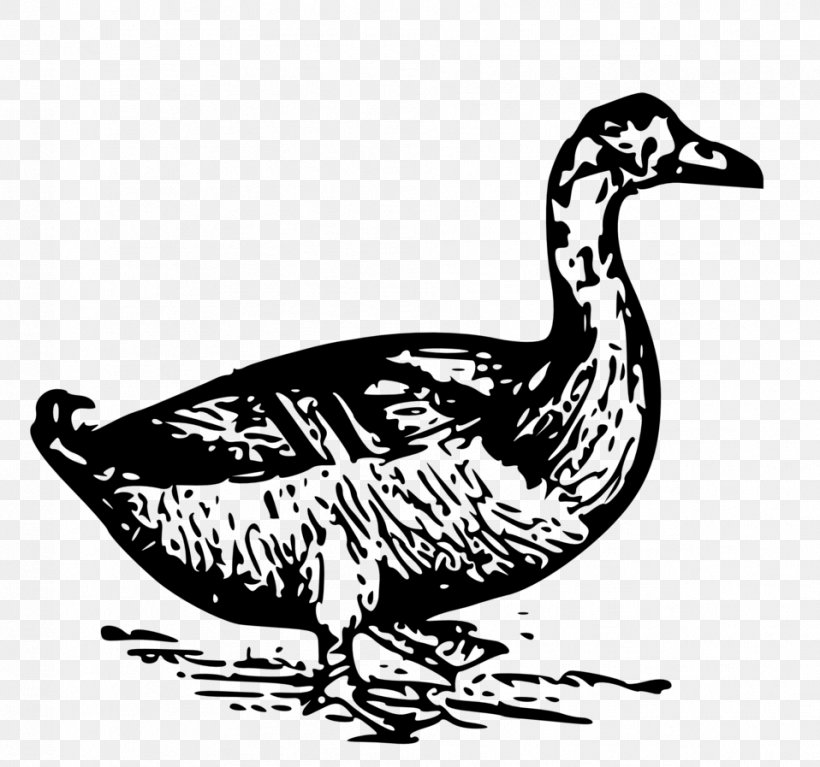 Duck Drawing Clip Art, PNG, 958x897px, Duck, Artwork, Beak, Bird, Black And White Download Free