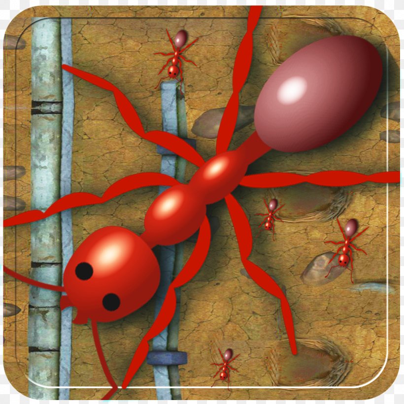 Insect IPod Touch Pest App Store Organism, PNG, 1024x1024px, Insect, Animal, App Store, Arthropod, Evolution Download Free